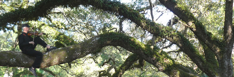 Gerard Dole sitting on a branche
